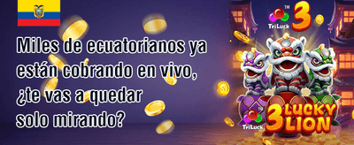 Lluvia de Giros Gratis 🎰 promotion