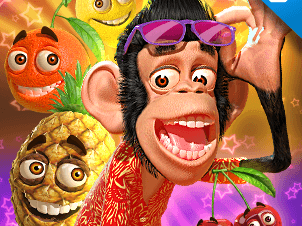 Funny Monkey