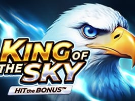 King of the Sky Hit the Bonus game icon