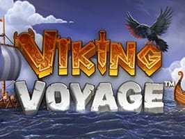 Viking Voyage game icon